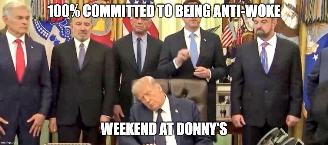 Dozy Don | 100% committed to being Anti-woke; Weekend at donny's | image tagged in antiwoke jpg,donald trump,woke,sleep | made w/ Imgflip meme maker