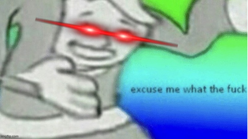 Excuse me what the f*ck | image tagged in excuse me what the f ck | made w/ Imgflip meme maker
