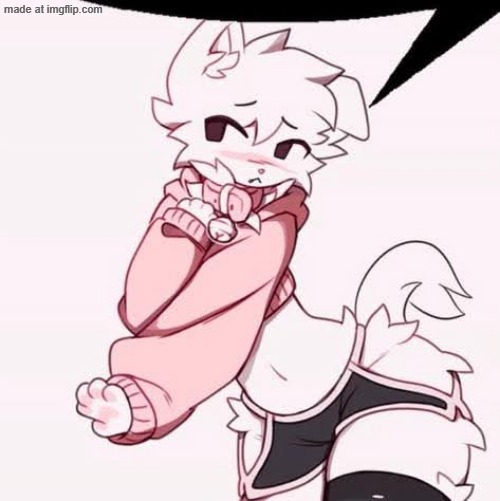 Femboy furry speech bubble | image tagged in femboy furry speech bubble | made w/ Imgflip meme maker