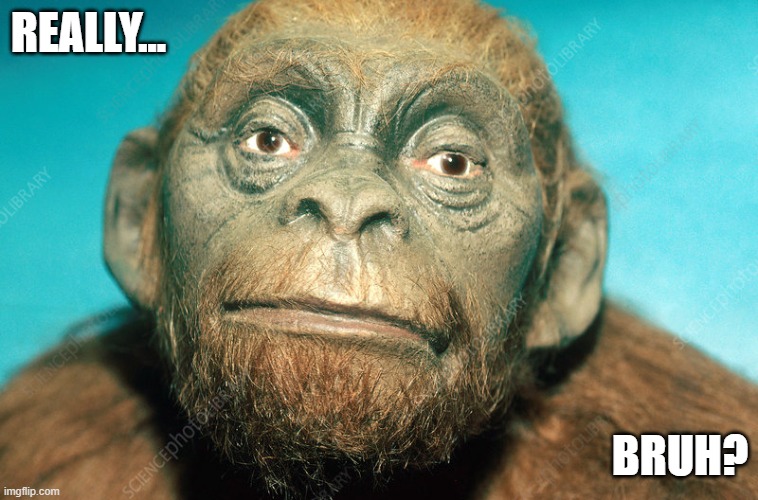 Lucy Really bruh | Really... Bruh? | image tagged in lucy really bruh | made w/ Imgflip meme maker