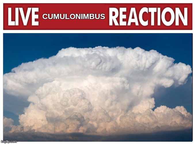 Cumulonimbus cloud | Cumulonimbus | image tagged in live reaction,cloud,cumulonimbus,nature,sky,lightning | made w/ Imgflip meme maker