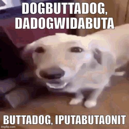 dog, butter dog, the dog with the butter | dogbuttadog, dadogwidabuta; buttadog, iputabutaonit | image tagged in butterdog,memes,funny,dank,dank memes | made w/ Imgflip meme maker