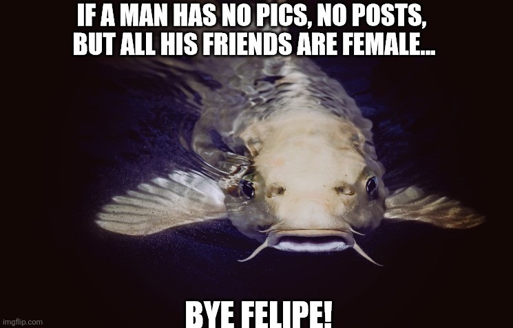Catfish Felipe | image tagged in catfish,liar liar pants on fire,thirsty,i bet he's thinking about other women,why you always lying,online dating | made w/ Imgflip meme maker