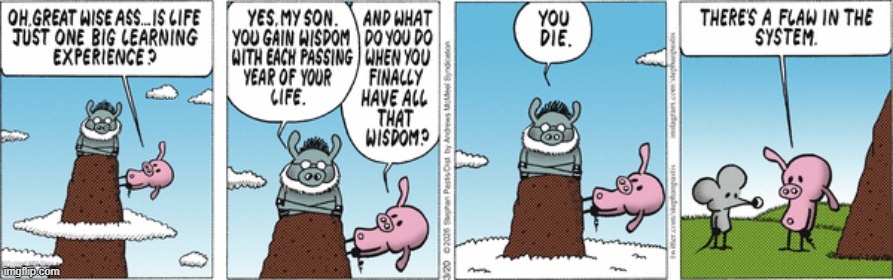 Pearls Before Swine | image tagged in comics | made w/ Imgflip meme maker