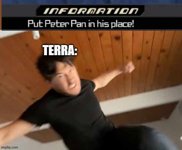 Random Kingdom hearts meme lol | Terra: | image tagged in markiplier punch | made w/ Imgflip meme maker