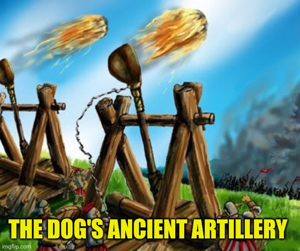 Catapult | The dog's ancient artillery | image tagged in catapult | made w/ Imgflip meme maker