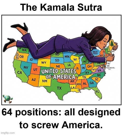 What is Kamala Harris’ plan for America in 2028? | image tagged in maga,conservative,kamala harris | made w/ Imgflip meme maker