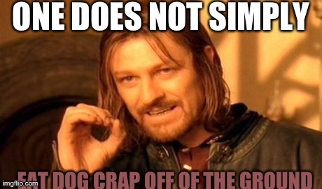 One Does Not Simply Meme | ONE DOES NOT SIMPLY EAT DOG CRAP OFF OF THE GROUND | image tagged in memes,one does not simply | made w/ Imgflip meme maker
