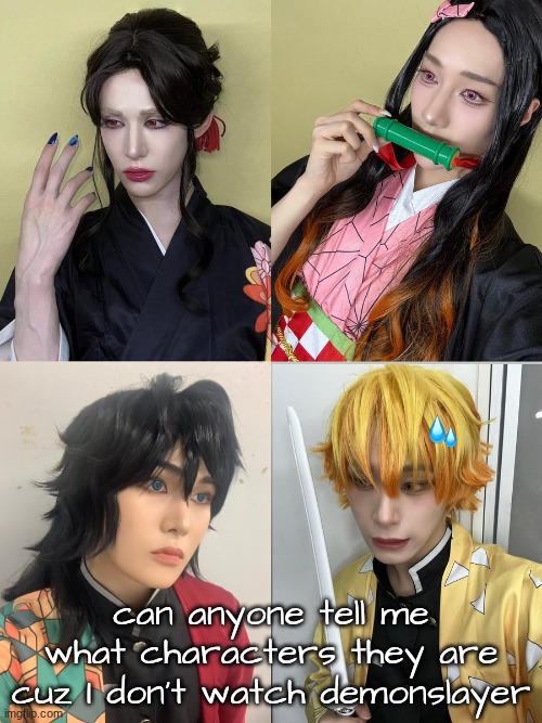 ... should I watch demon slayer tho? | can anyone tell me what characters they are cuz I don't watch demonslayer | image tagged in demon slayer | made w/ Imgflip meme maker