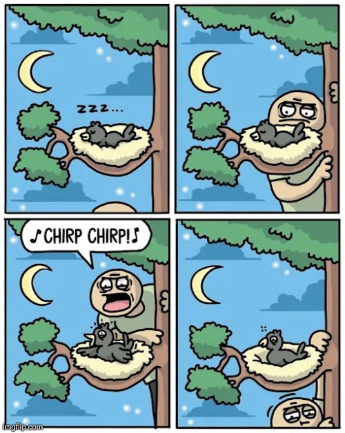 Chirp chirp | image tagged in chirp,birds,bird,comics,comics/cartoons,wake up | made w/ Imgflip meme maker