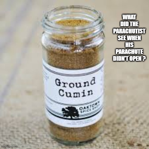 What did the parachutist see when his parachute didn't open?   --  funny  -- | what did the parachutist see when his parachute didn't open ? | image tagged in funny,humor,play on words,parachute,joke | made w/ Imgflip meme maker