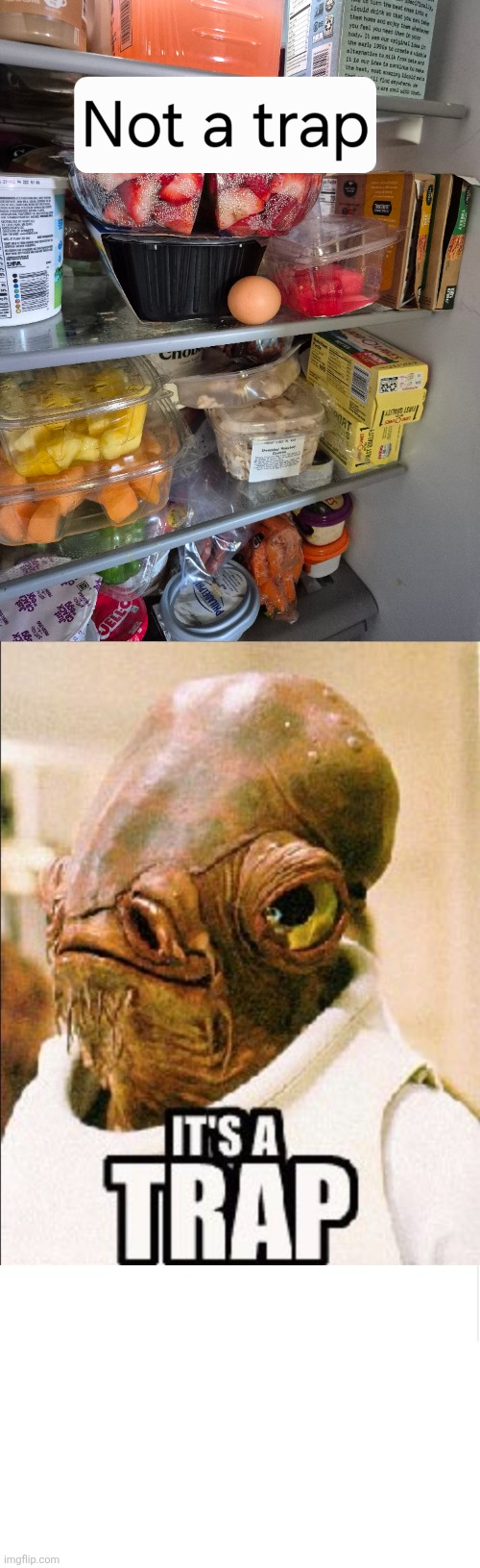 What could go wrong | image tagged in blank meme template | made w/ Imgflip meme maker