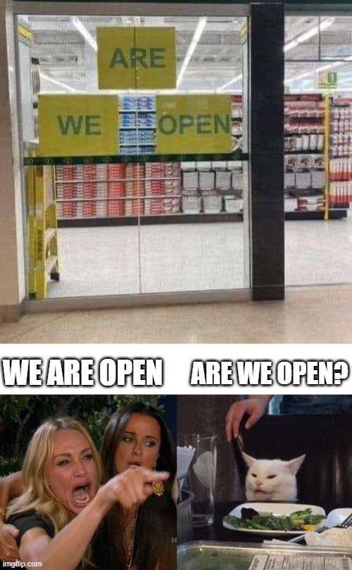 Open? | Are we open? we are open | image tagged in memes,woman yelling at cat | made w/ Imgflip meme maker