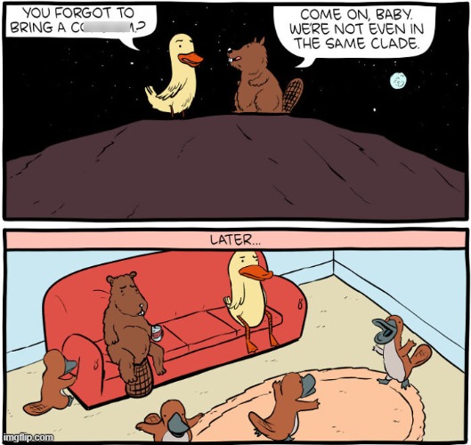 Duck Bill | image tagged in comics | made w/ Imgflip meme maker