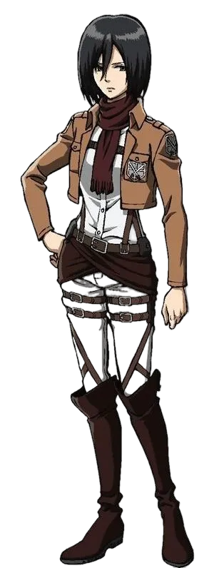 Mikasa Blank Meme Template