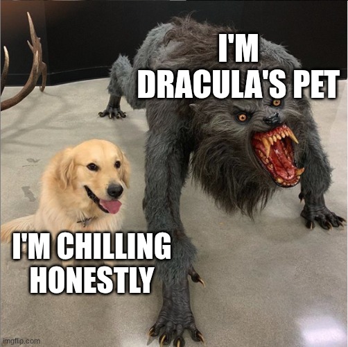 cute memes when you are sad :] | i'm Dracula's pet; I'm chilling honestly | image tagged in dog vs werewolf | made w/ Imgflip meme maker
