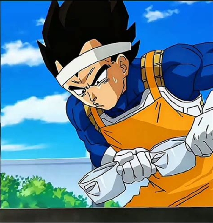 Vegeta Cooking Blank Meme Template