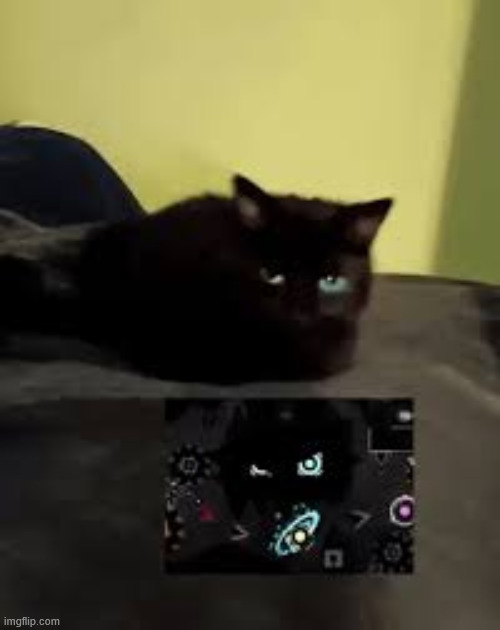 shit i stole from the MSmg discord 2 | made w/ Imgflip meme maker