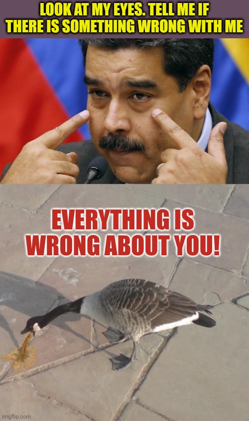 Nicolas Maduro is creepy | Look at my eyes. Tell me if there is something wrong with me; Everything is wrong about you! | image tagged in nicolas maduro,vomit goose | made w/ Imgflip meme maker
