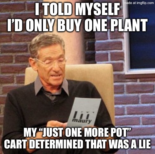 I TOLD MYSELF I’D ONLY BUY ONE PLANT; MY “JUST ONE MORE POT” CART DETERMINED THAT WAS A LIE | I TOLD MYSELF I’D ONLY BUY ONE PLANT; MY “JUST ONE MORE POT” CART DETERMINED THAT WAS A LIE | image tagged in memes,maury lie detector,lies,plants,shopping cart,shopping | made w/ Imgflip meme maker
