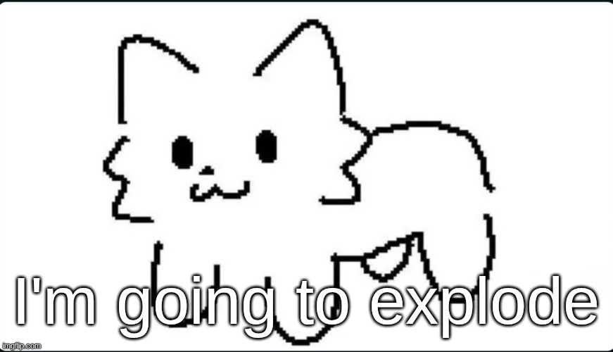 The goober cat | I'm going to explode | image tagged in the goober cat | made w/ Imgflip meme maker