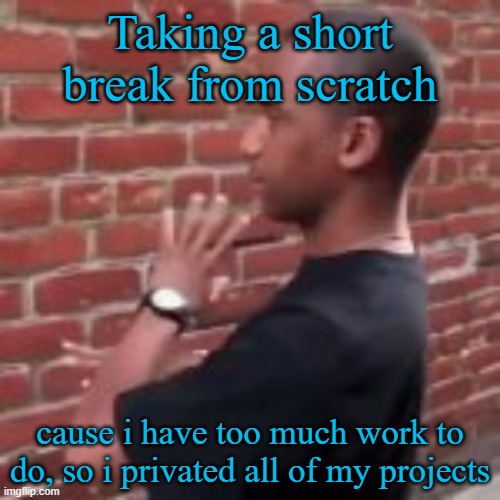 Taking a short break from scratch; cause i have too much work to do, so i privated all of my projects | image tagged in brickfighter | made w/ Imgflip meme maker