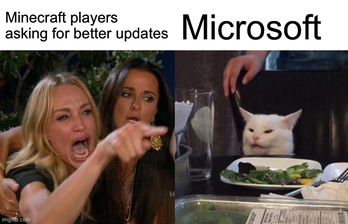 Woman Yelling At Cat | Minecraft players asking for better updates; Microsoft | image tagged in memes,woman yelling at cat | made w/ Imgflip meme maker