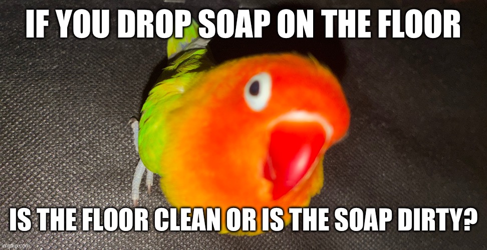 If you drop soap on the floor; is the floor clean or is the soap dirty? | image tagged in img_0148 jpeg | made w/ Imgflip meme maker