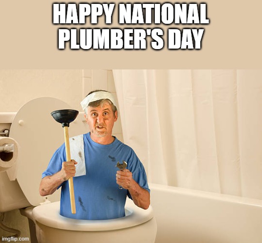 National Plumber's Day | happy national plumber's day | image tagged in plumber,toilet,bathroom,holiday,funny,memes | made w/ Imgflip meme maker