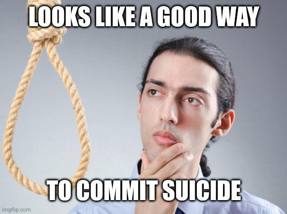 Looks like a good way To commit suicide | image tagged in noose | made w/ Imgflip meme maker