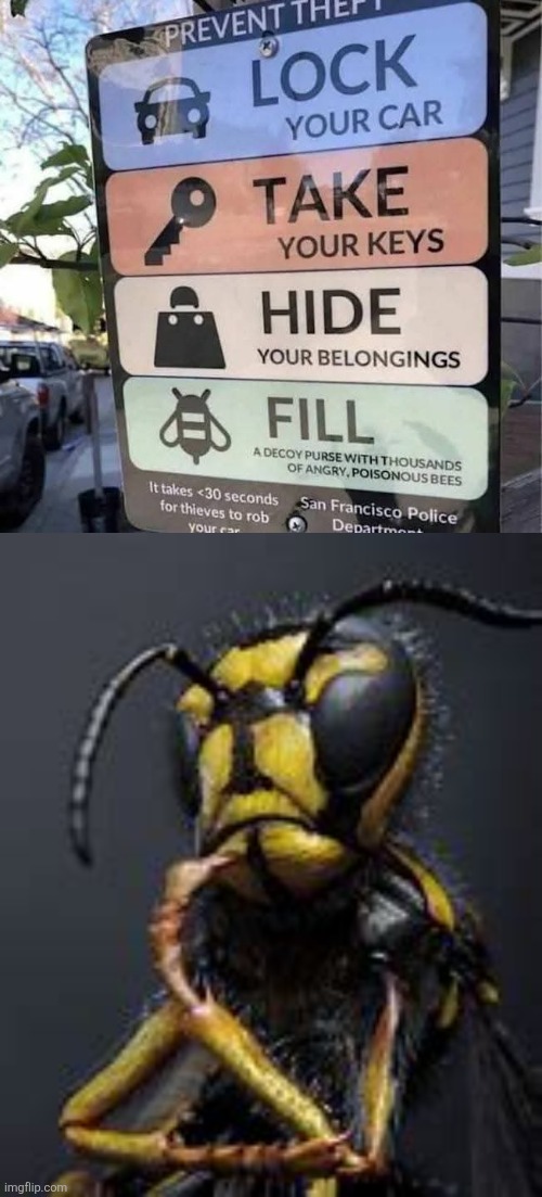 That last step might be a bit tricky | image tagged in thinking bee,car,safety,bad idea,funny signs | made w/ Imgflip meme maker