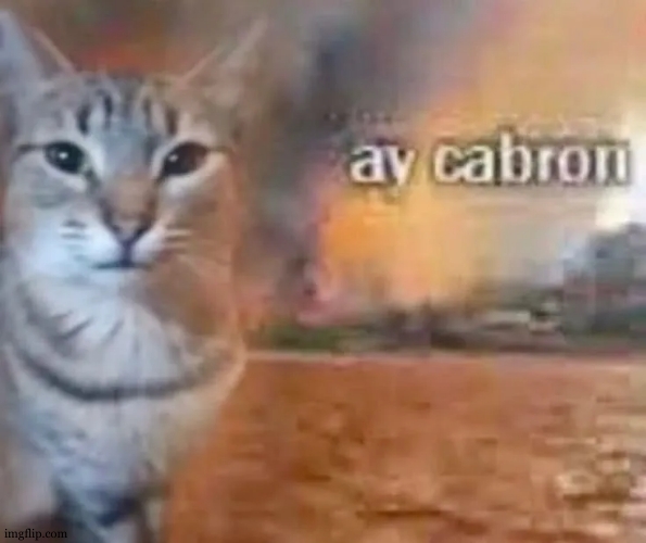 ay cabron | image tagged in ay cabron | made w/ Imgflip meme maker