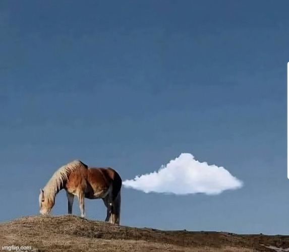 Hort Cloud | image tagged in horse,cloud,perfectly timed photo,awesome | made w/ Imgflip meme maker