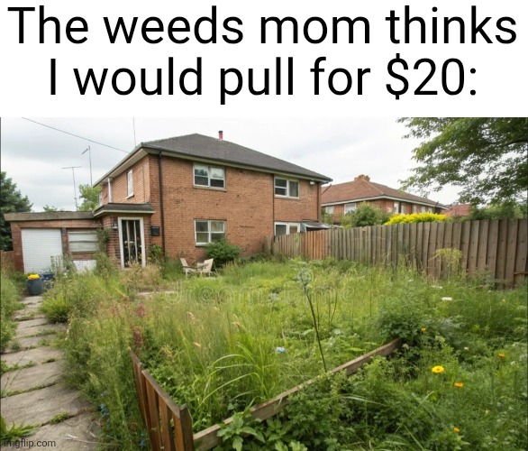 I swear $50 needs to be the new $20... | The weeds mom thinks I would pull for $20: | image tagged in weeds,money,relatable,yardwork,moms,unrealistic expectations | made w/ Imgflip meme maker
