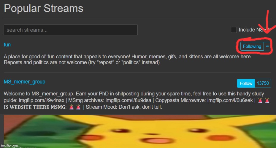 I love having ∞ followers | image tagged in surprised pikachu,fun | made w/ Imgflip meme maker