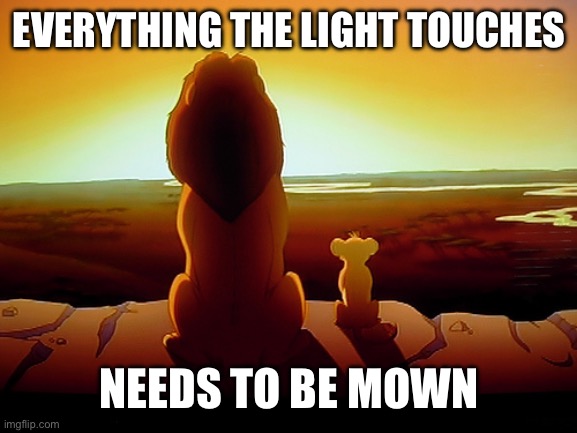 Lion King Meme | Everything the light touches; Needs to be mown | image tagged in memes,lion king | made w/ Imgflip meme maker