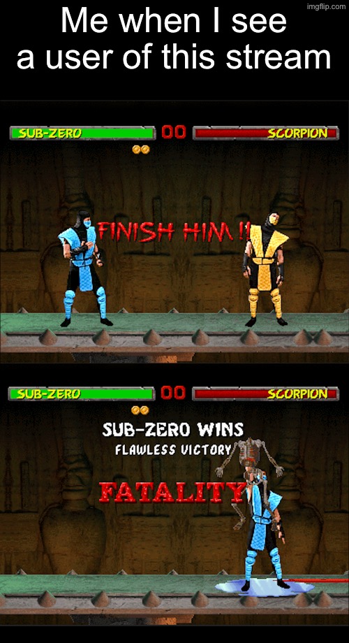 Day 1 of Making Fun of this Stream (I might be banned) | Me when I see a user of this stream | image tagged in mortal kombat,mortal kombat fatality,fatality | made w/ Imgflip meme maker