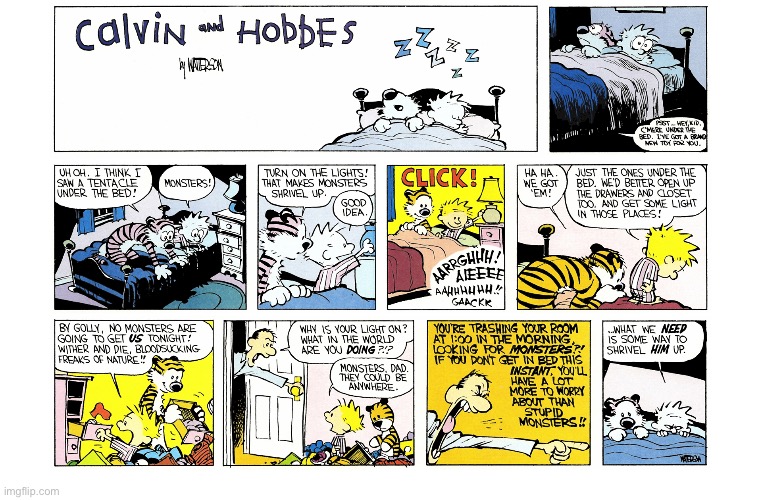image tagged in calvin and hobbes,comics | made w/ Imgflip meme maker