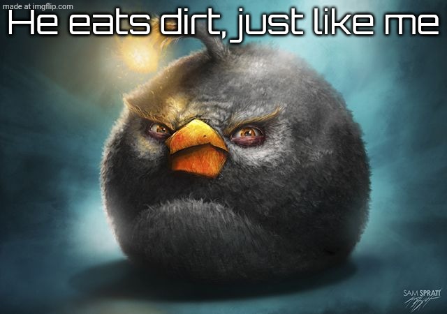 angry birds bomb | He eats dirt, just like me | image tagged in angry birds bomb | made w/ Imgflip meme maker