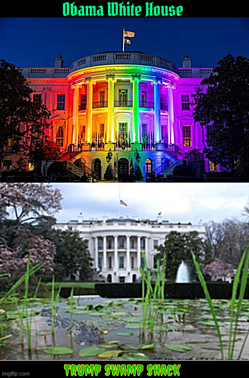 Obama's Rainbow House vs Trump's Swamp Shack | Obama White House; Trump Swamp Shack | image tagged in obama's rainbow house vs trump's swamp shack | made w/ Imgflip meme maker