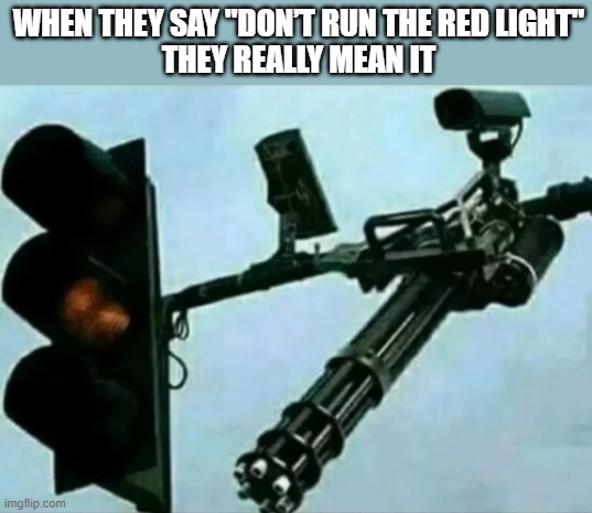 red light | When they say "don’t run the red light"
they really mean it | image tagged in memes | made w/ Imgflip meme maker