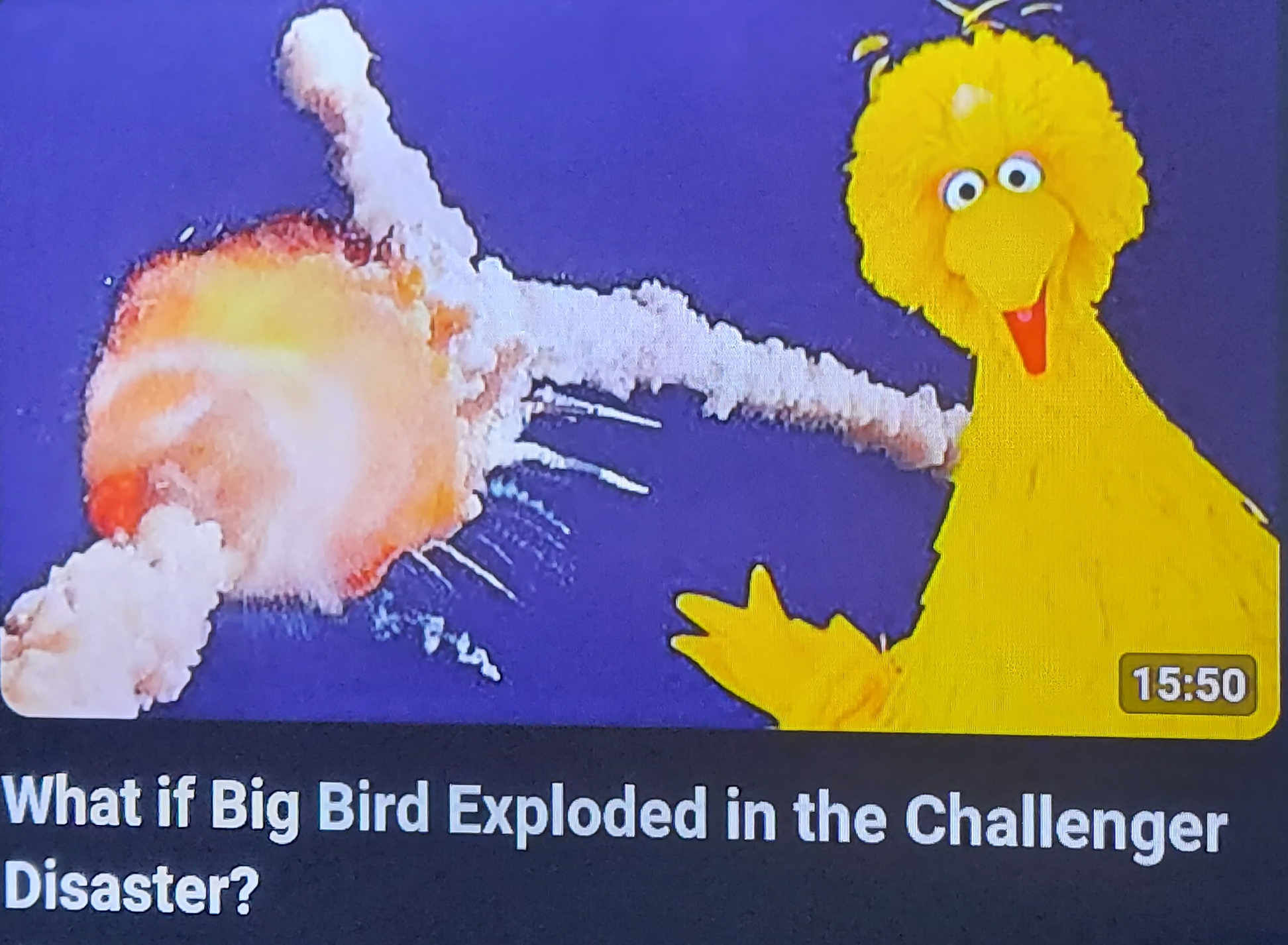 What if big bird exploded in the challenger disaster? Blank Meme Template