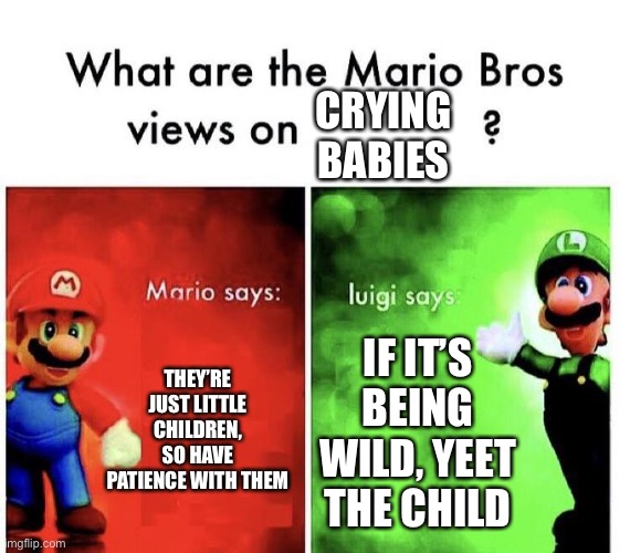 Mario Bros Views | Crying Babies; They’re just little children, so have patience with them; If it’s being wild, yeet the child | image tagged in mario bros views,yeet the child,relatable memes | made w/ Imgflip meme maker