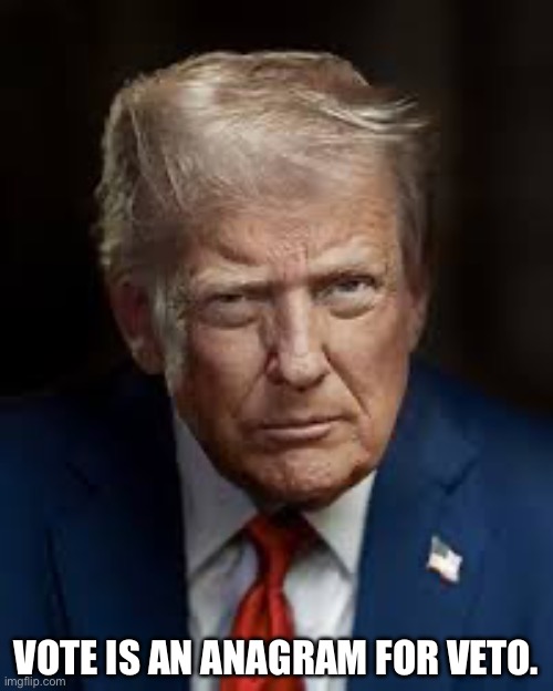 Vote is an anagram for veto. | image tagged in donald trump | made w/ Imgflip meme maker