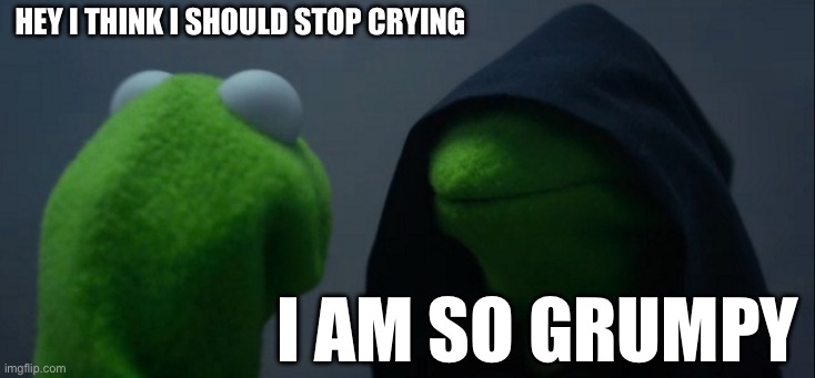 Evil Kermit Meme | hey i think i should stop crying; i am so grumpy | image tagged in memes,evil kermit | made w/ Imgflip meme maker