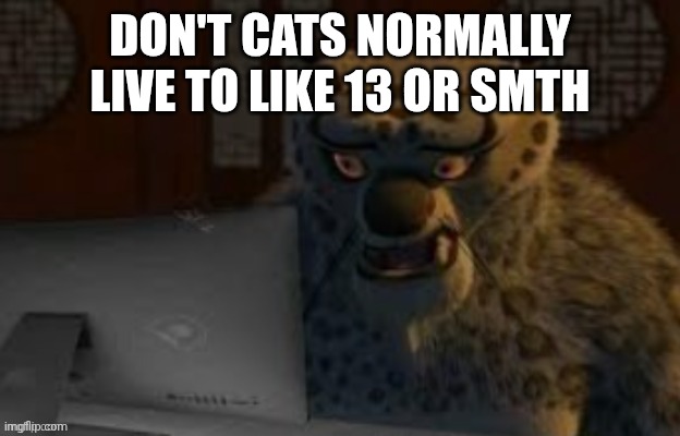 Tai Lung at the computer | Don't cats normally live to like 13 or smth | image tagged in tai lung at the computer | made w/ Imgflip meme maker
