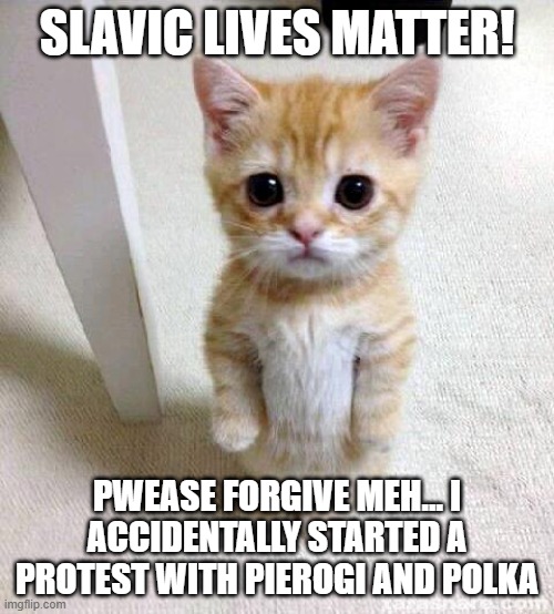 Cute Cat Meme | SLAVIC LIVES MATTER! PWEASE FORGIVE MEH… I ACCIDENTALLY STARTED A PROTEST WITH PIEROGI AND POLKA | image tagged in memes,cute cat,slavic lives matter,black lives matter | made w/ Imgflip meme maker