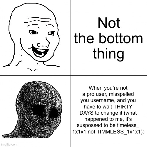:( | Not the bottom thing; When you’re not a pro user, misspelled you username, and you have to wait THIRTY DAYS to change it (what happened to me, it’s suspossed to be timeless_ 1x1x1 not TIMMLESS_1x1x1): | image tagged in happy wojak vs depressed wojak | made w/ Imgflip meme maker