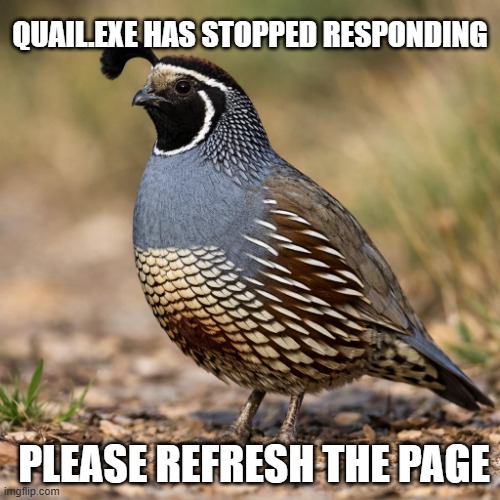 Error.Tittle. Critical! | Quail.exe has stopped responding; please refresh the page | image tagged in male californain valley quail into a cartoon drawn in the style,refresh the page | made w/ Imgflip meme maker