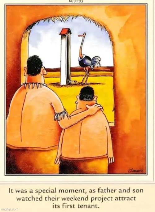 Nice job! | image tagged in the far side,comics,jungle,father and son,ostrich,birdhouse | made w/ Imgflip meme maker